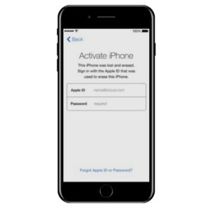 remove apple id from stolen iphone