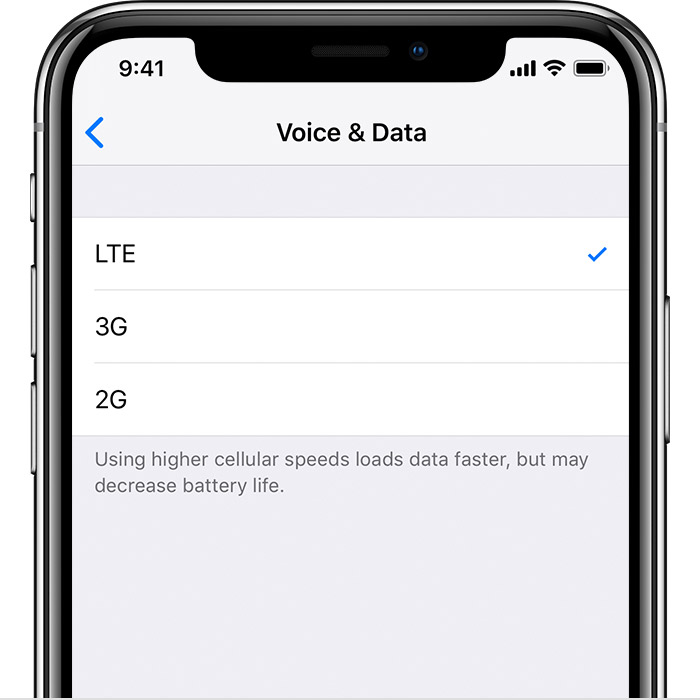 iPhone Voice and Data Settings